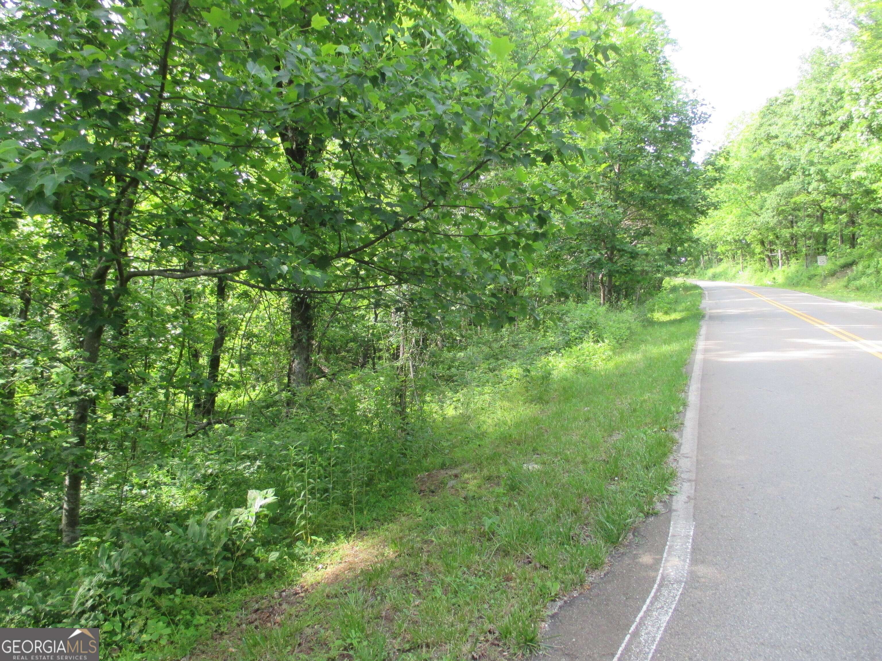 Jasper, GA 30143,LT 33 High Cliff Road