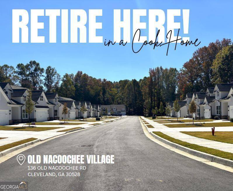 Cleveland, GA 30528,66 Village CT #12