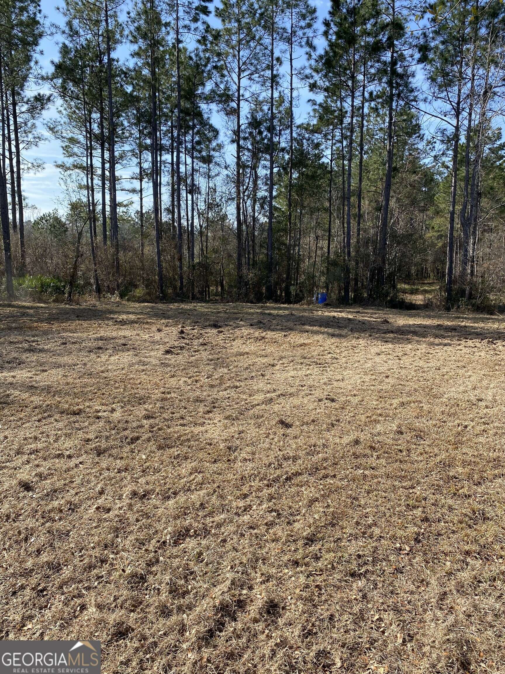 Folkston, GA 31537,LOT-2 1189 Janells River DR