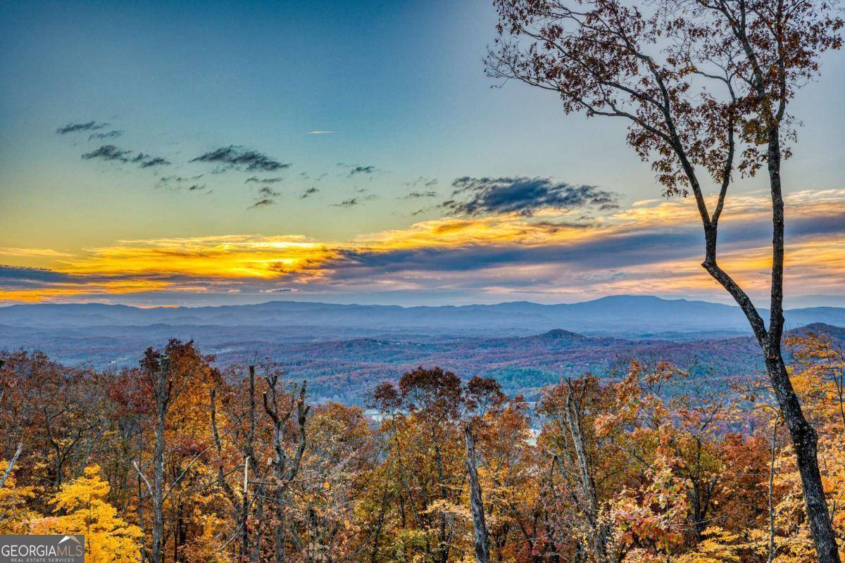 Mineral Bluff, GA 30559,18 Wawayanda DR