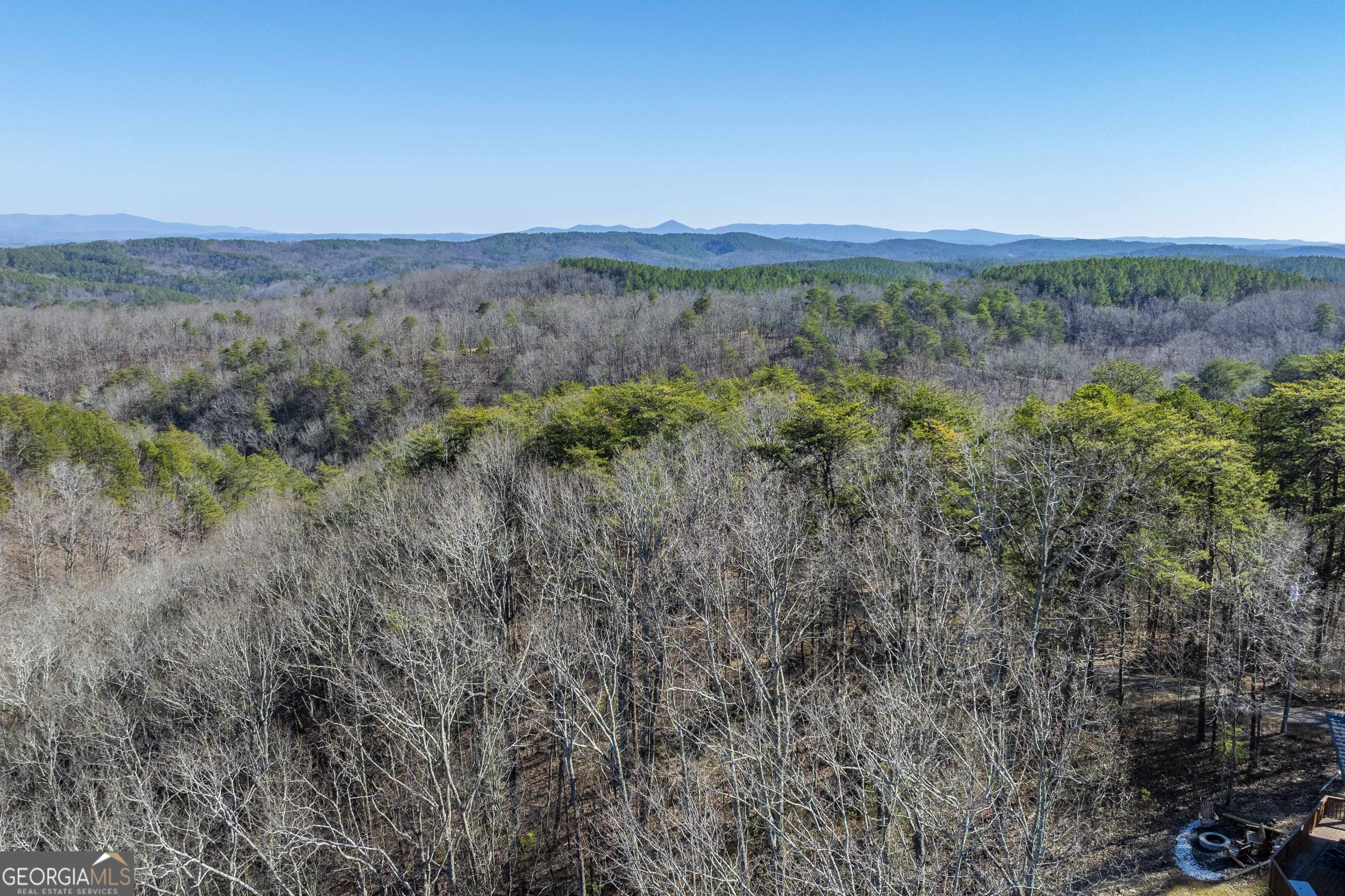 Ranger, GA 30734,1328 Birch LN