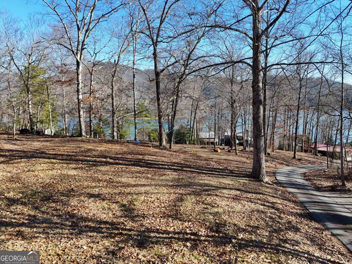 Hiawassee, GA 30546,15 Sayer LN
