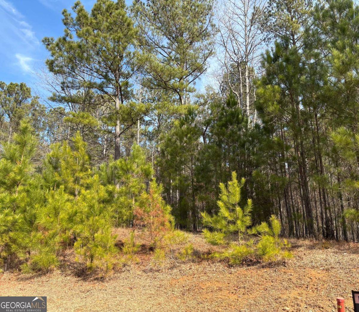 Buckhead, GA 30625,1330 Spinnaker RD