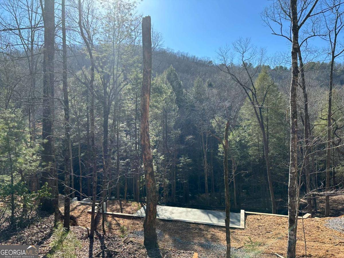 Blue Ridge, GA 30513,LOT 1 Big Creek