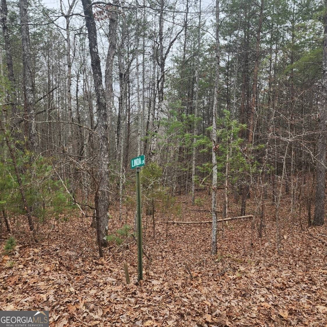Young Harris, GA 30582,TRACT 3 Julie Hollow RD