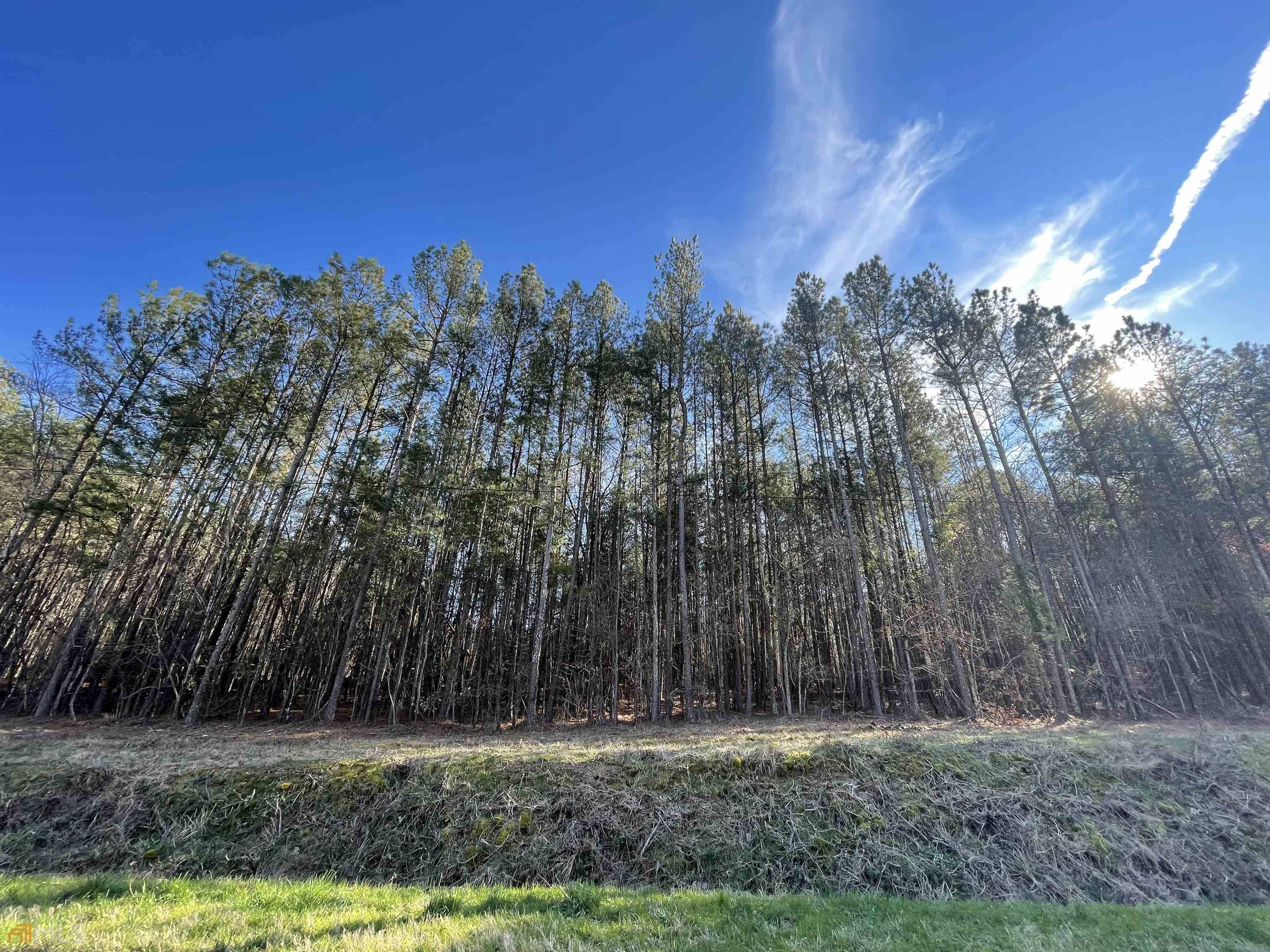 Adairsville, GA 30103,0 Rockfence RD