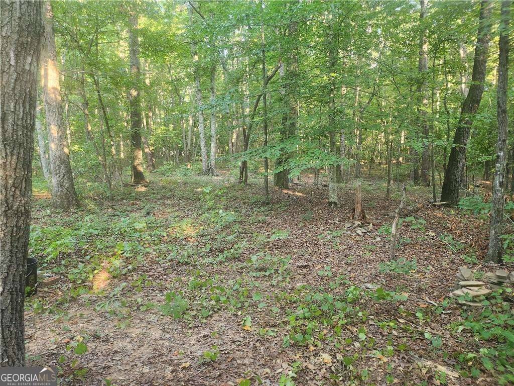 Canton, GA 30115,340 Pat Rich DR