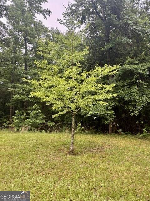 Hamilton, GA 31811,5072 Ga Highway 116