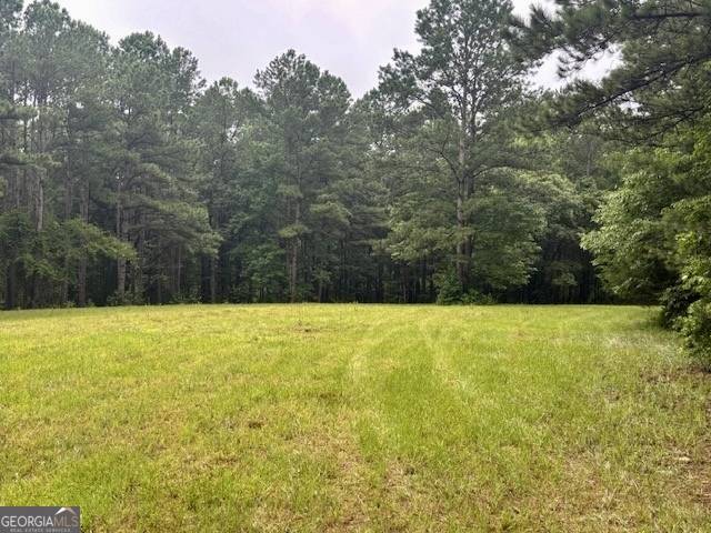 Hamilton, GA 31811,5072 Ga Highway 116