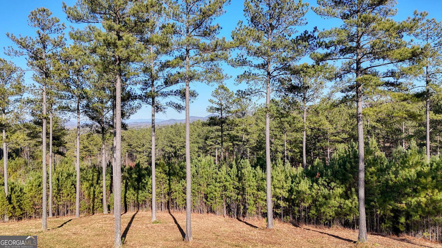 Blairsville, GA 30512,LOT 276 Thirteen Hundred