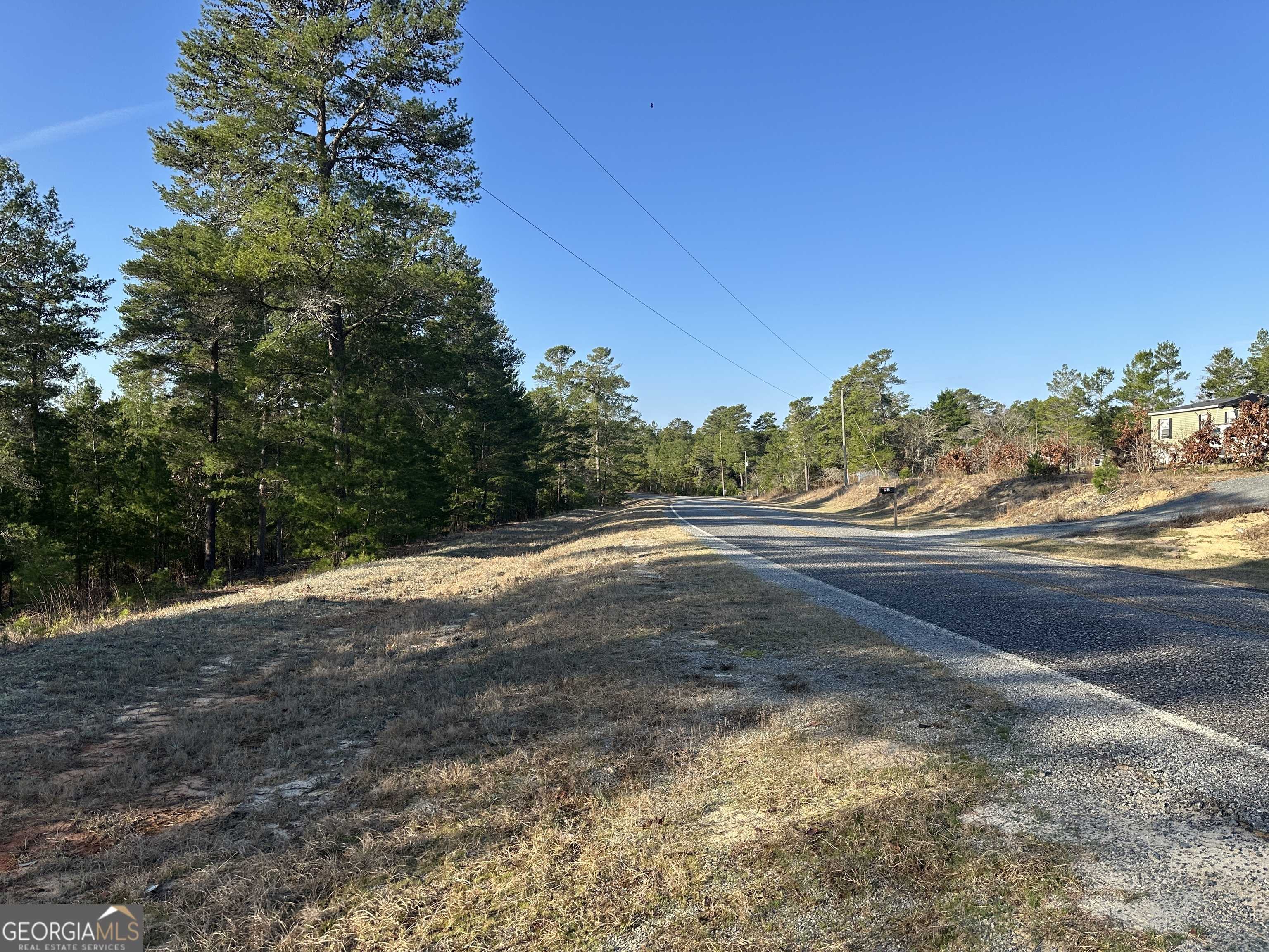 Roberta, GA 31078,0 Horne RD #38.41 ACRES