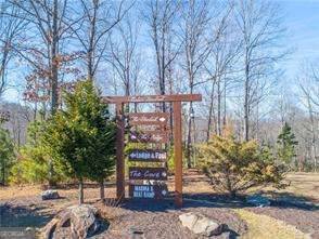 Blairsville, GA 30512,238 The Cove at Thirteen Hundred #LOT 238