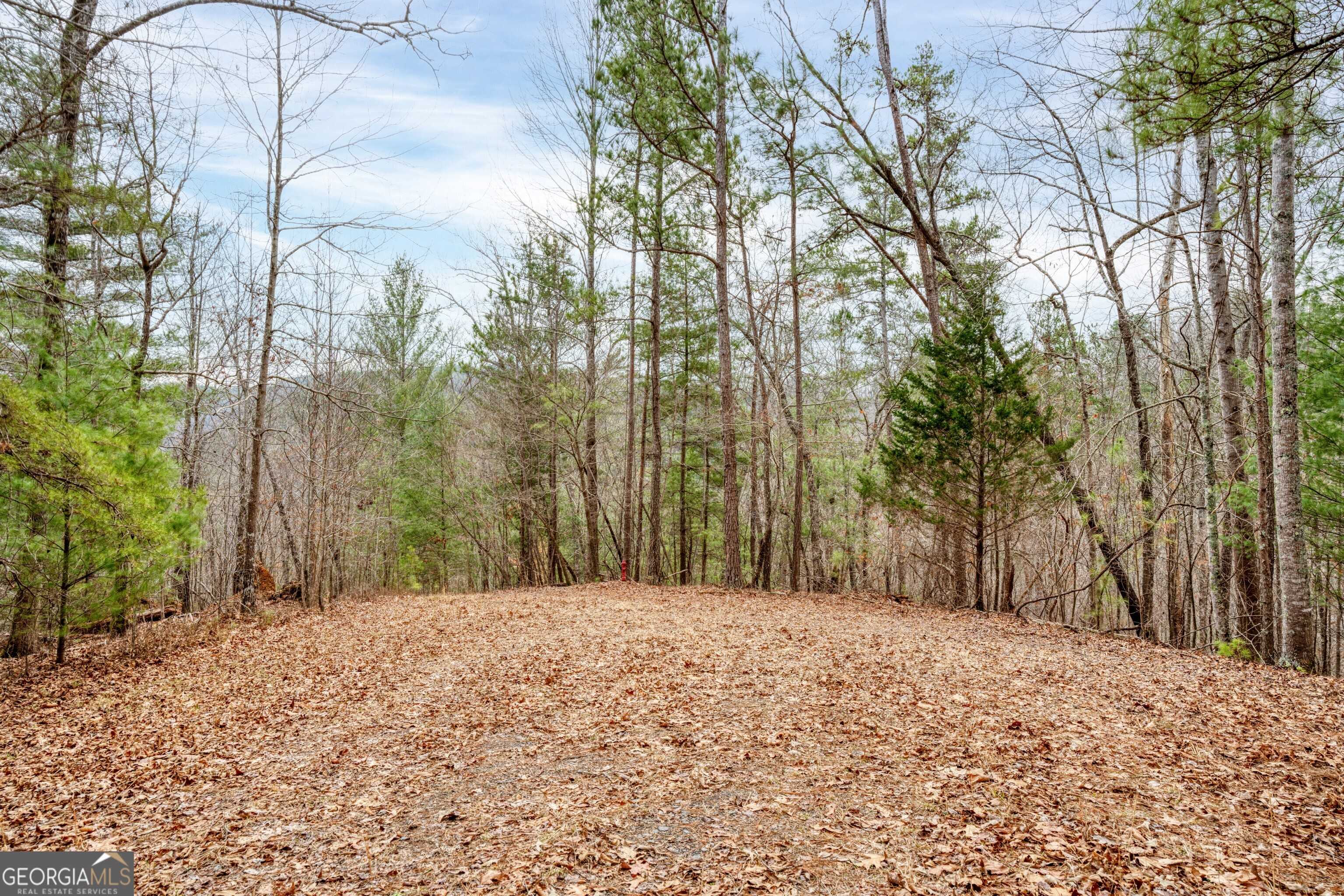 Ranger, GA 30734,943 Aurora LN