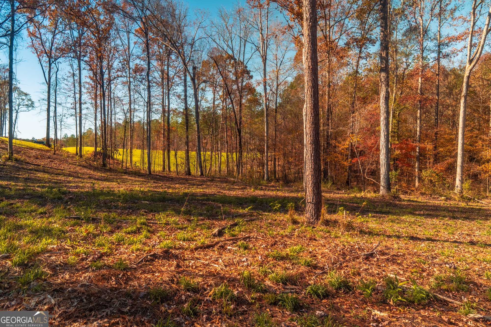 Juliette, GA 31046,0 Old Dames Ferry Road