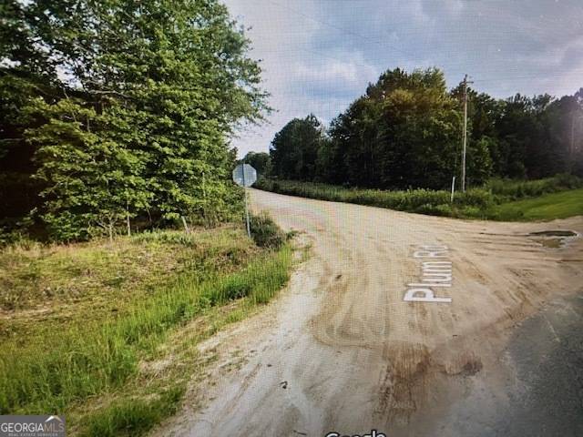 Sylvania, GA 30467,MCDONALD AND Plum RD