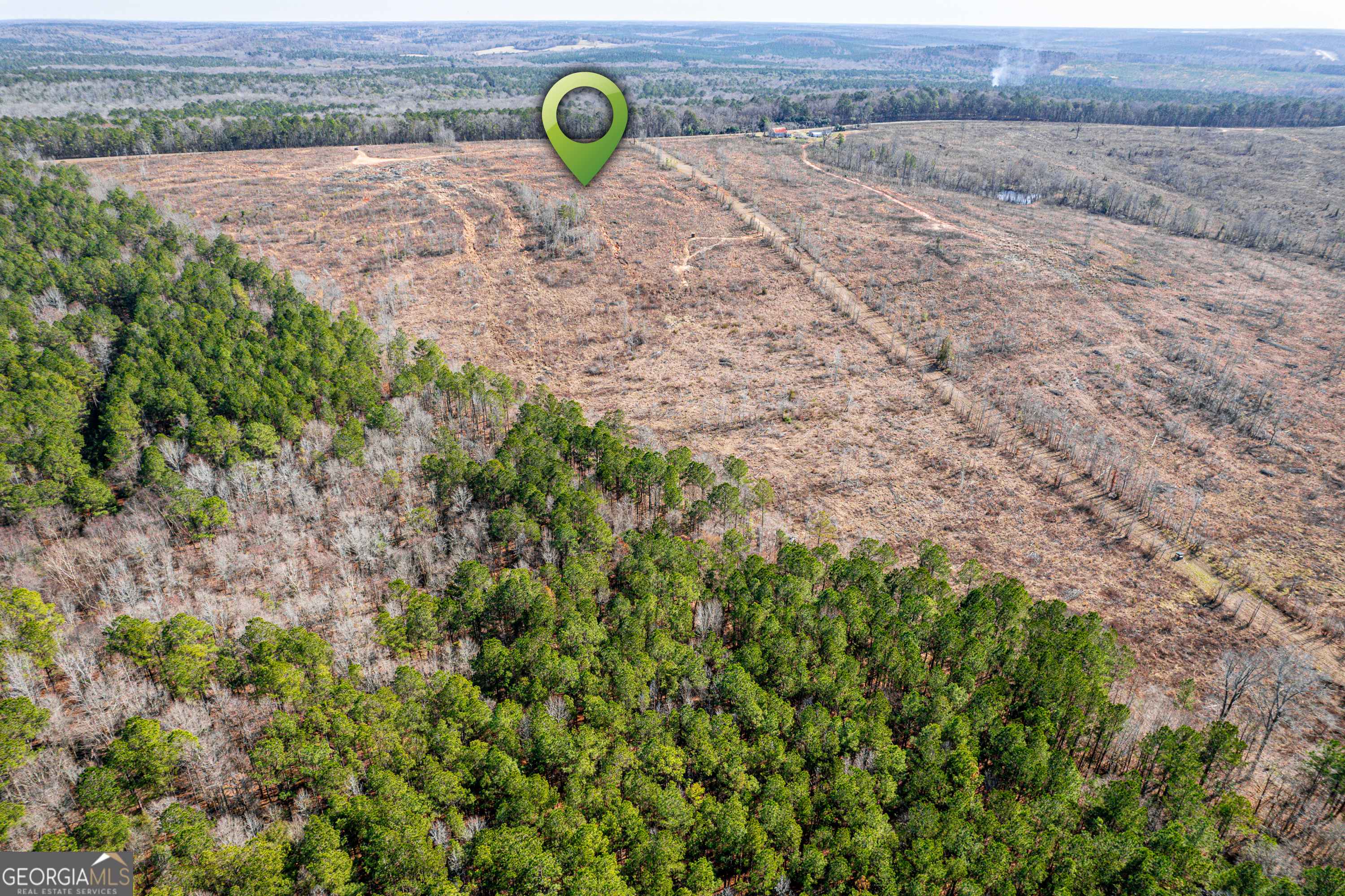 Dry Branch, GA 31020,869 Marion-Ripley RD