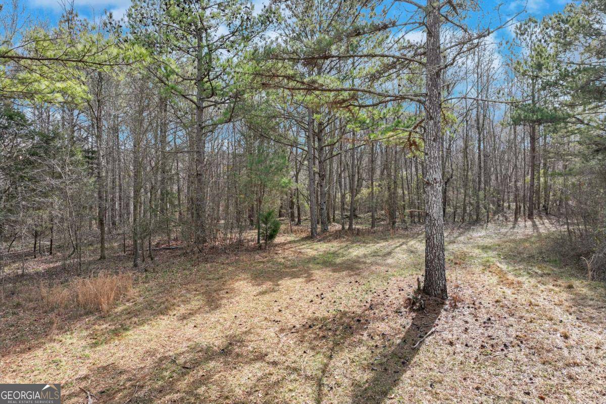Winterville, GA 30683,1423 Hargrove Lake RD