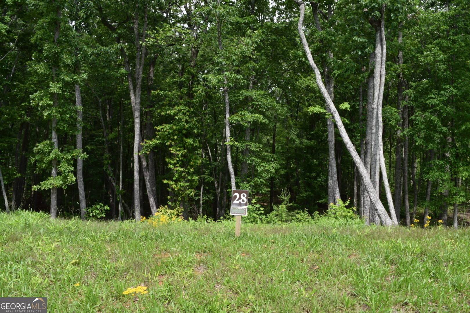 Talking Rock, GA 30175,LOT 28 High Summit DR