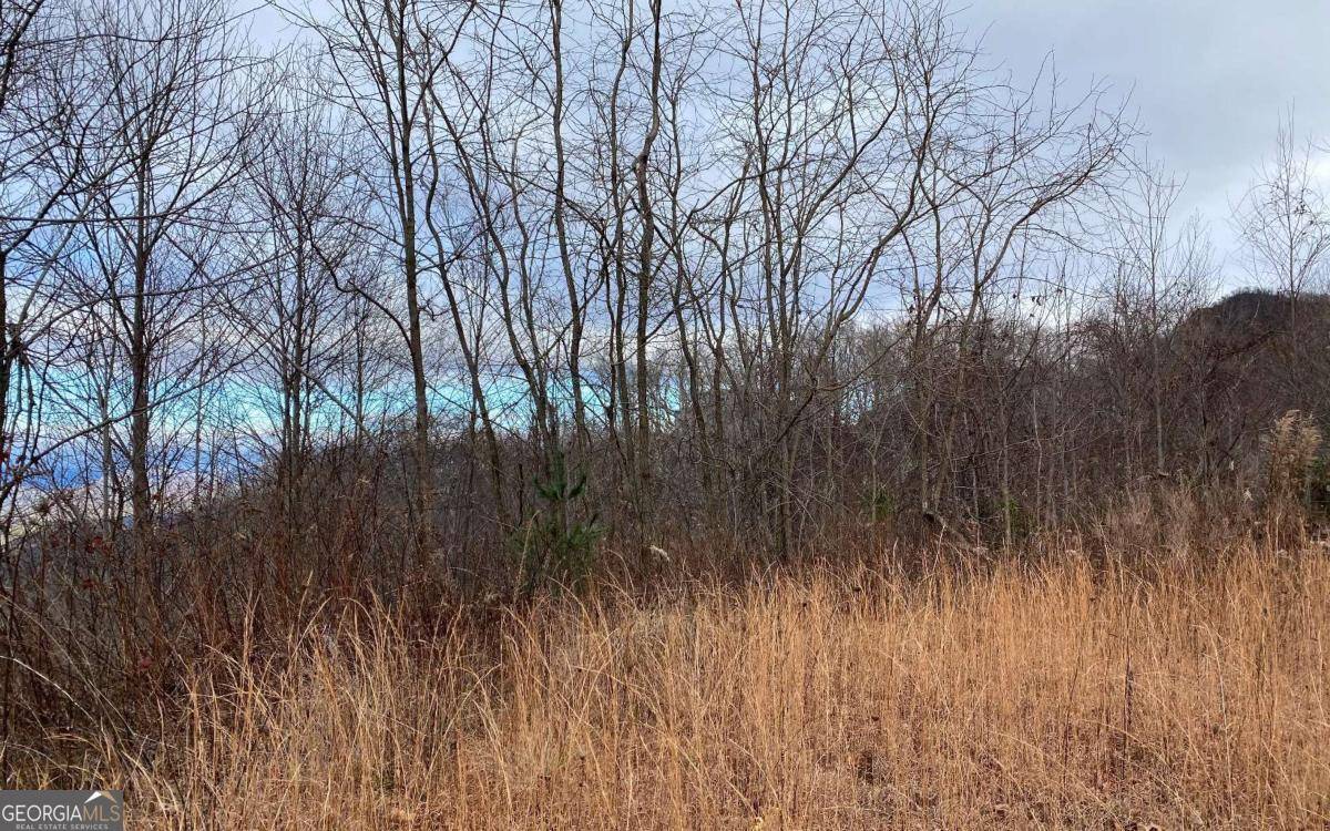 Bryson City, NC 28713,LOT G3 Georgianna LN