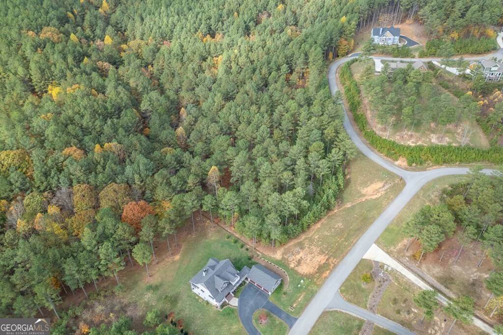 Blairsville, GA 30512,LT 120 Thirteen Hundred #120
