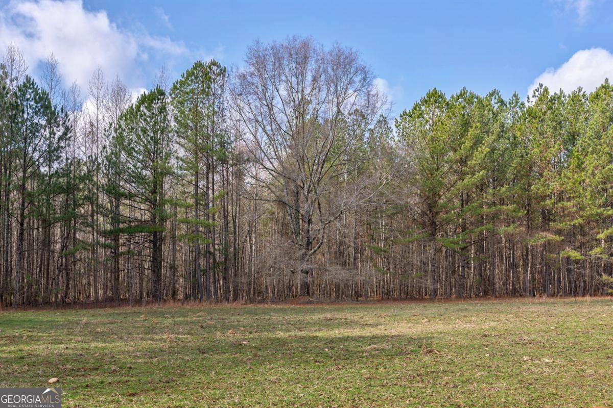 Madison, GA 30650,0 Double Bridges RD