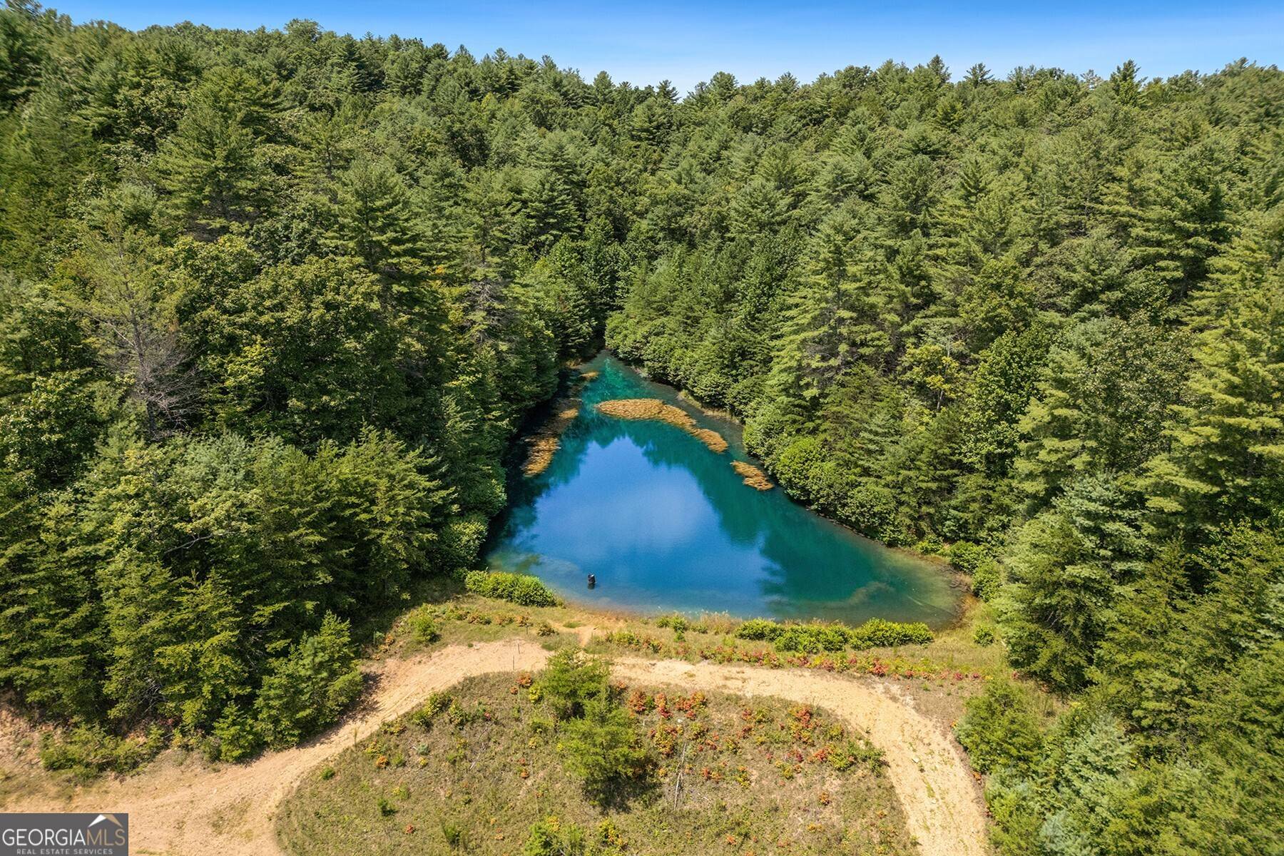 Mineral Bluff, GA 30559,80 AC Shangri La DR