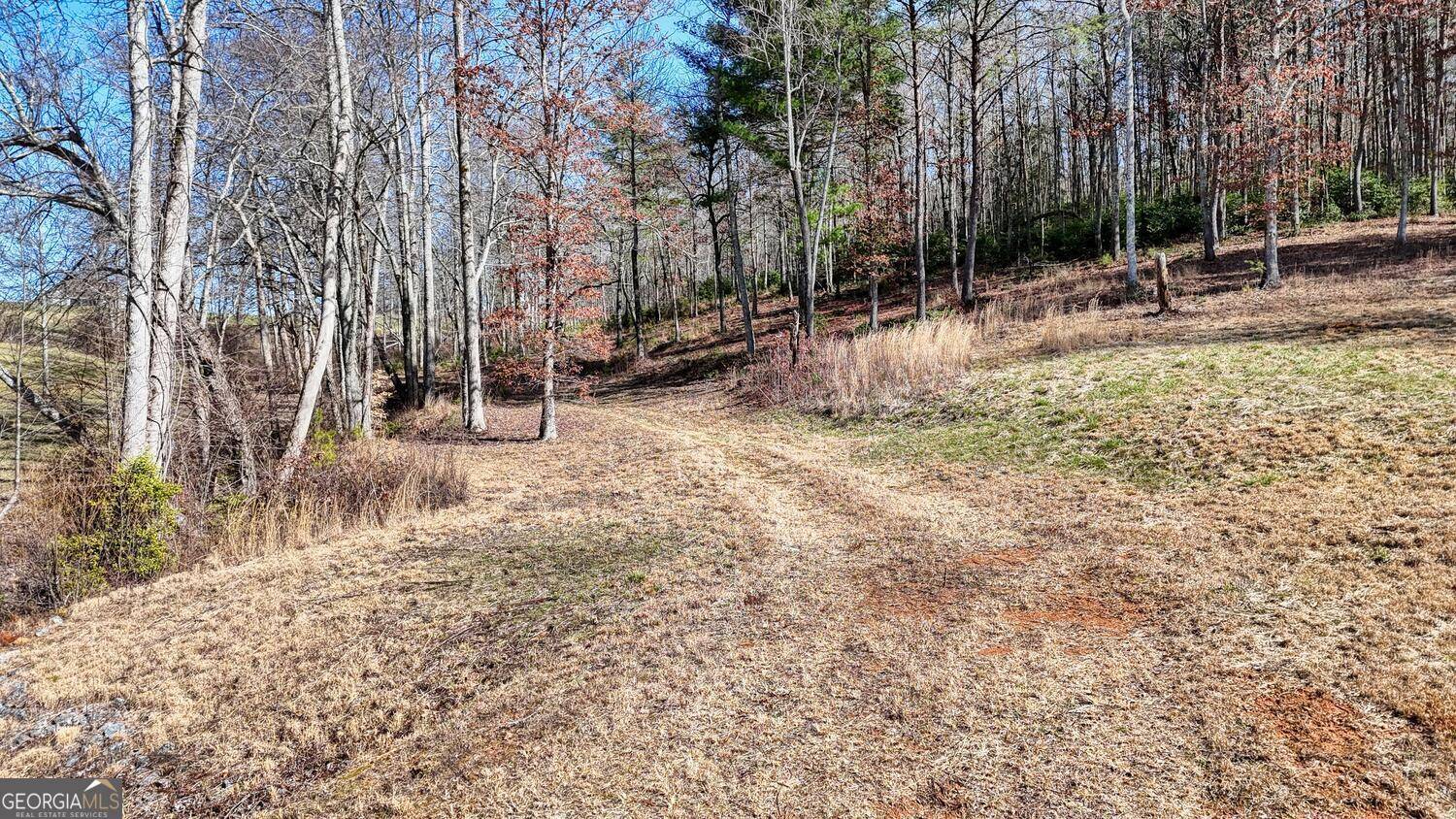 Blairsville, GA 30512,LOT 38 Hidden HBR #38