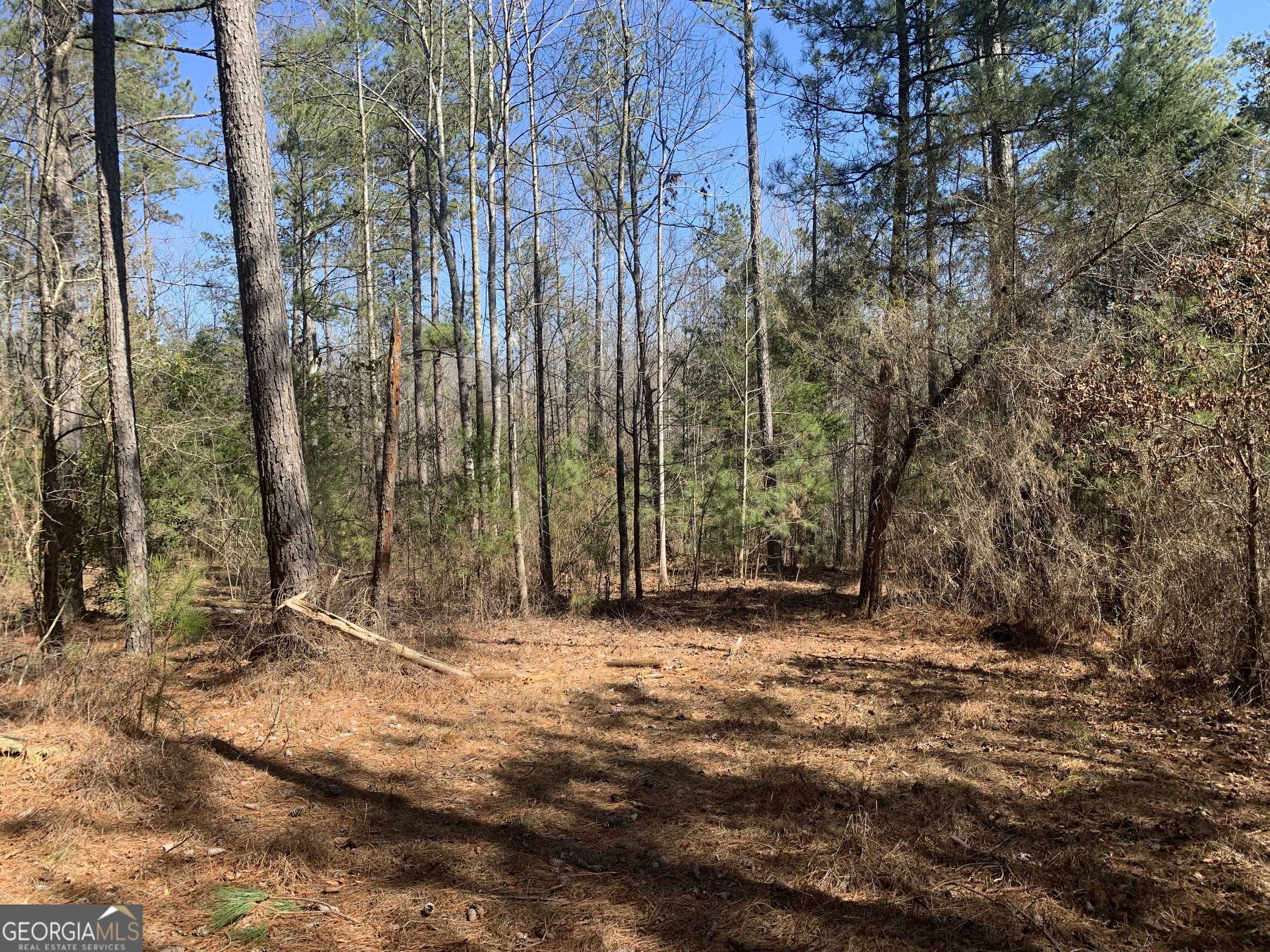 Danielsville, GA 30633,0 Brewer Phillips RD