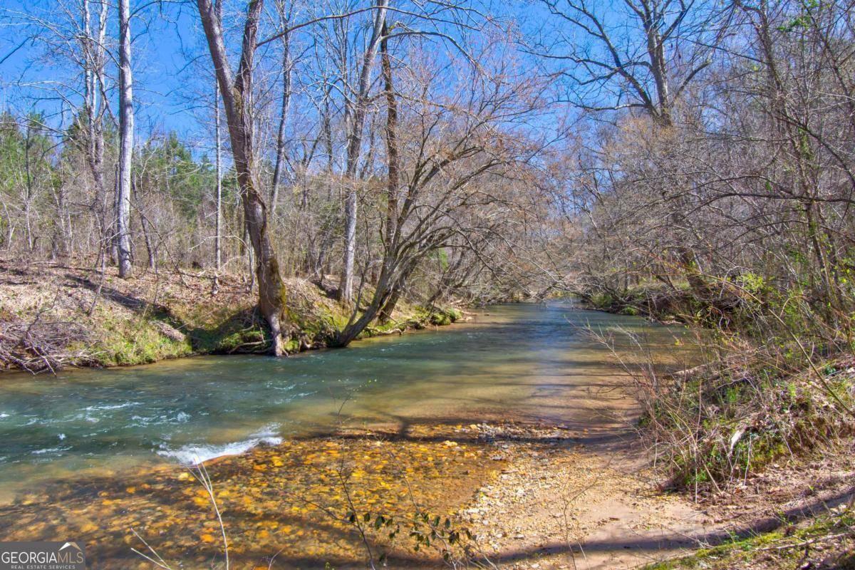 Dahlonega, GA 30533,250 Etula DR