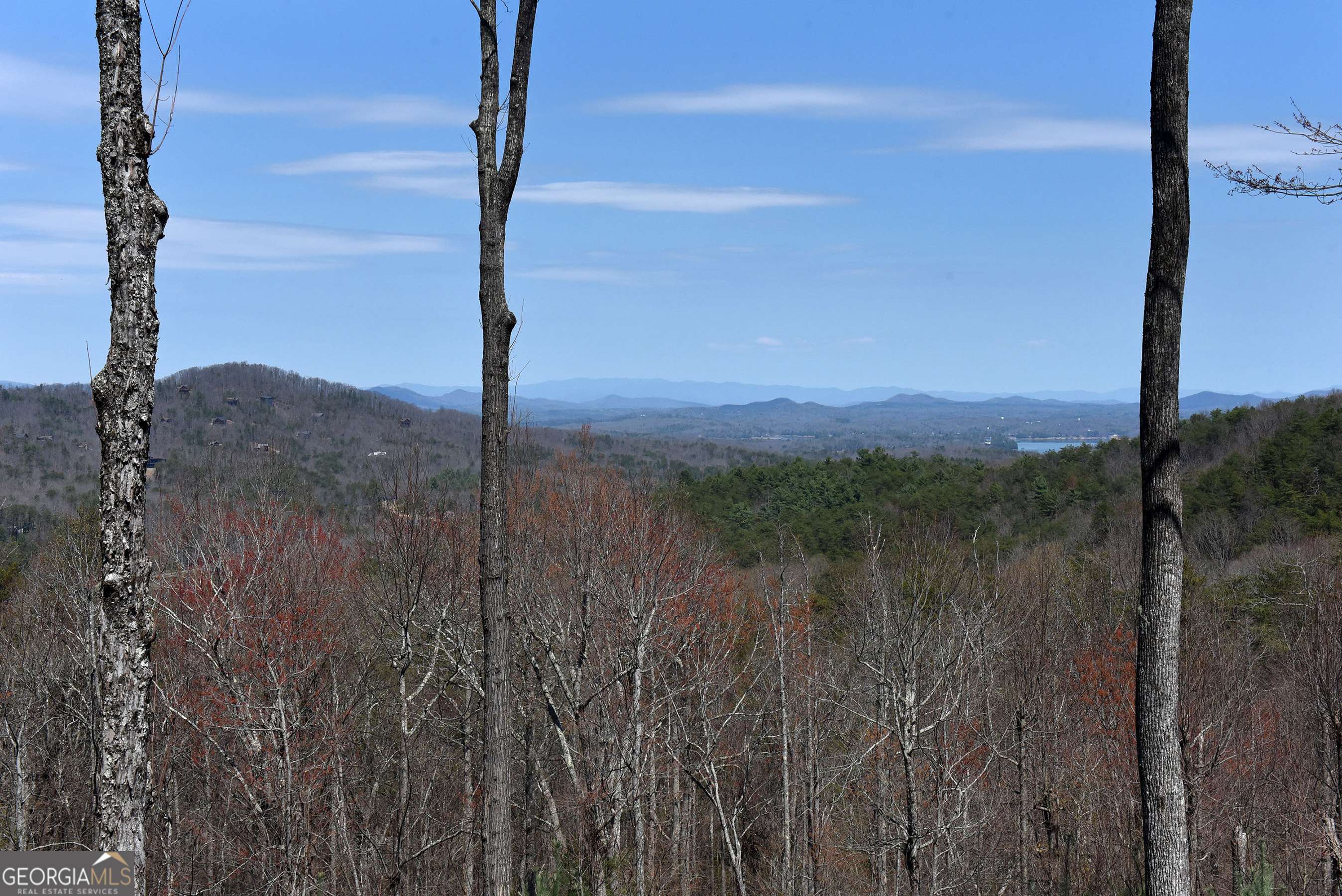 Blue Ridge, GA 30513,167 Majestic View LN
