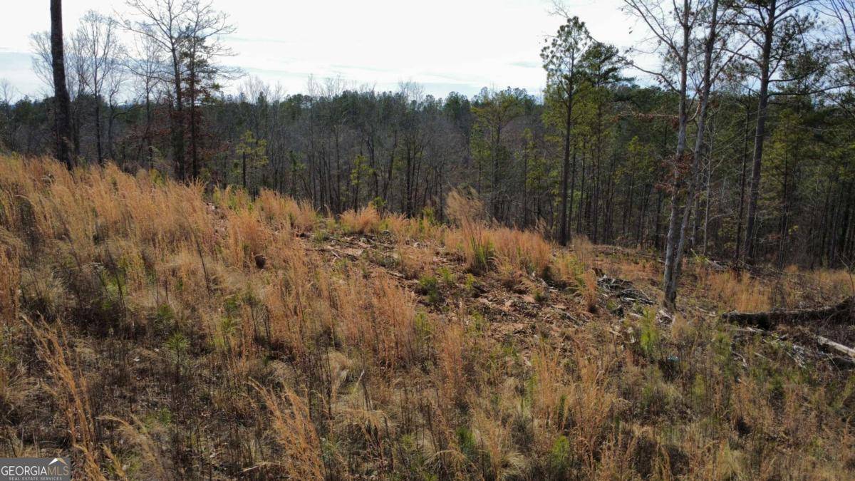 Talking Rock, GA 30175,LOT 171 Shallow Water WAY