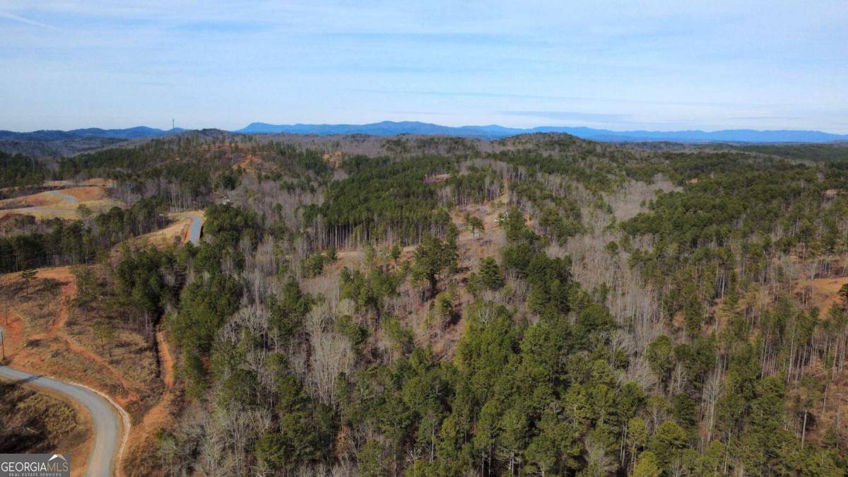 Talking Rock, GA 30175,LOT 108 Blalock Mountain RD