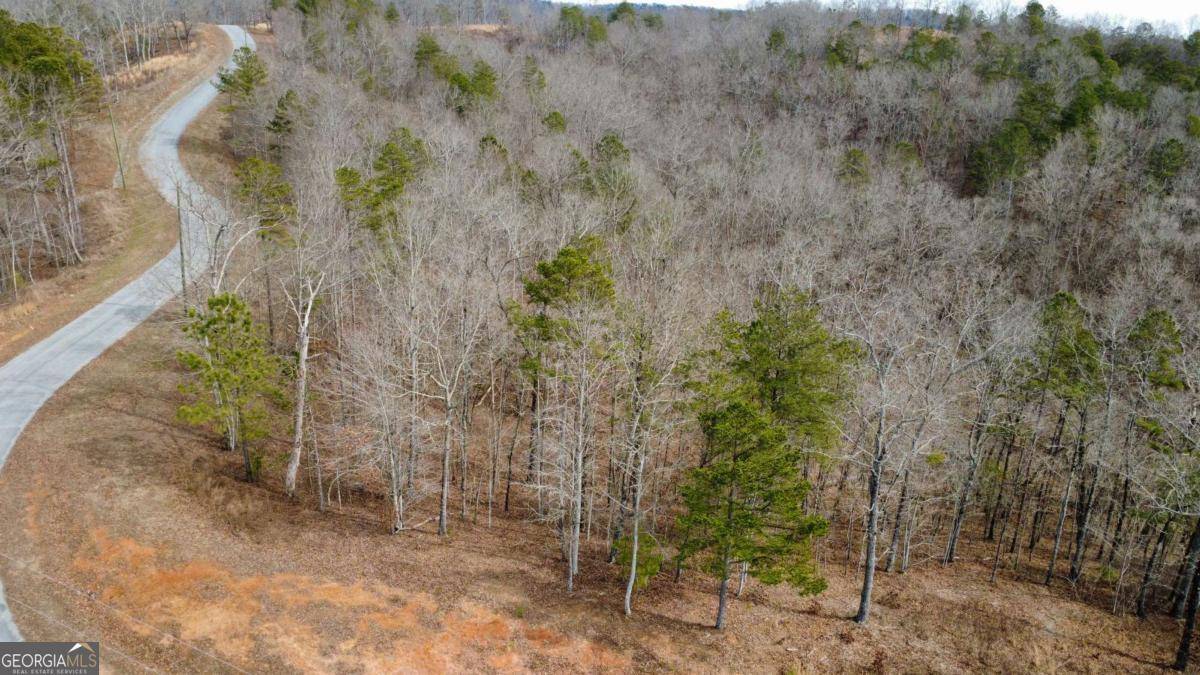 Talking Rock, GA 30175,LOT 43 Bucktail WAY
