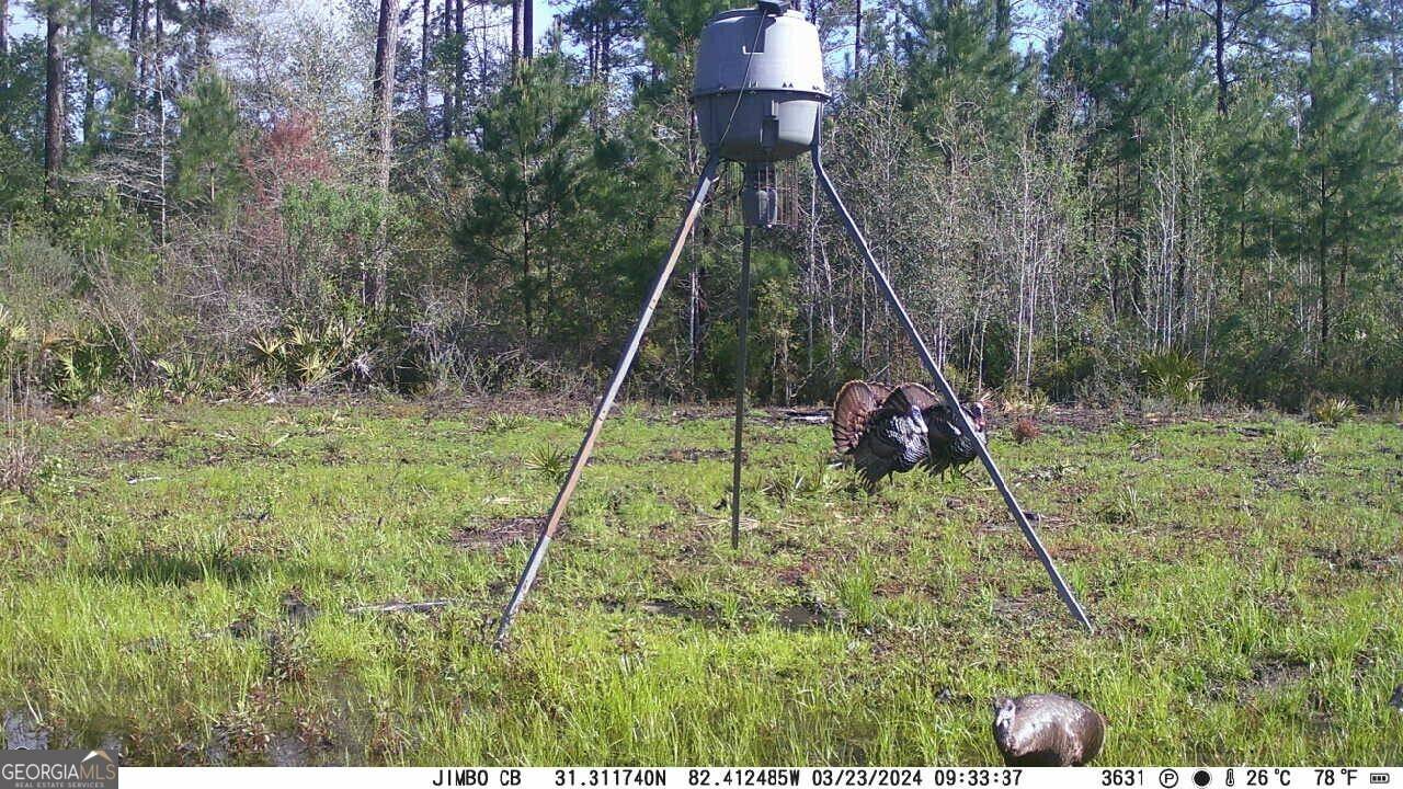 Waycross, GA 31503,5790 Wooddell DR