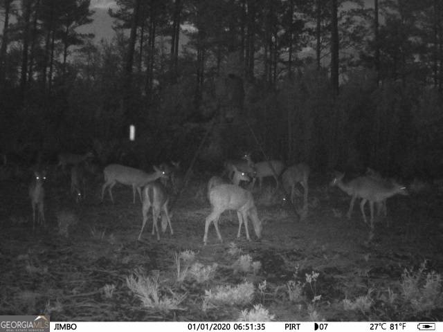 Waycross, GA 31503,5790 Wooddell DR