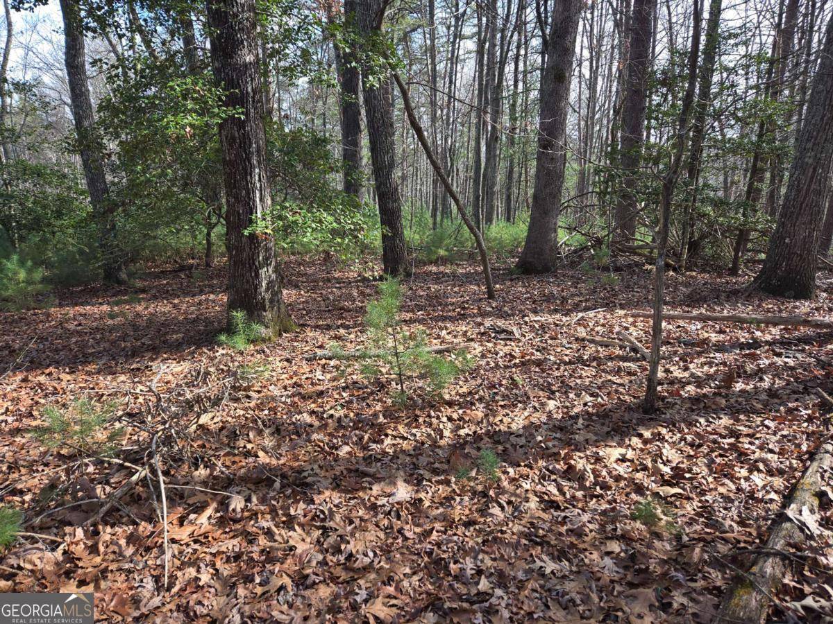 Blairsville, GA 30512,LOT 2 Mount Pleasant Ridge RD