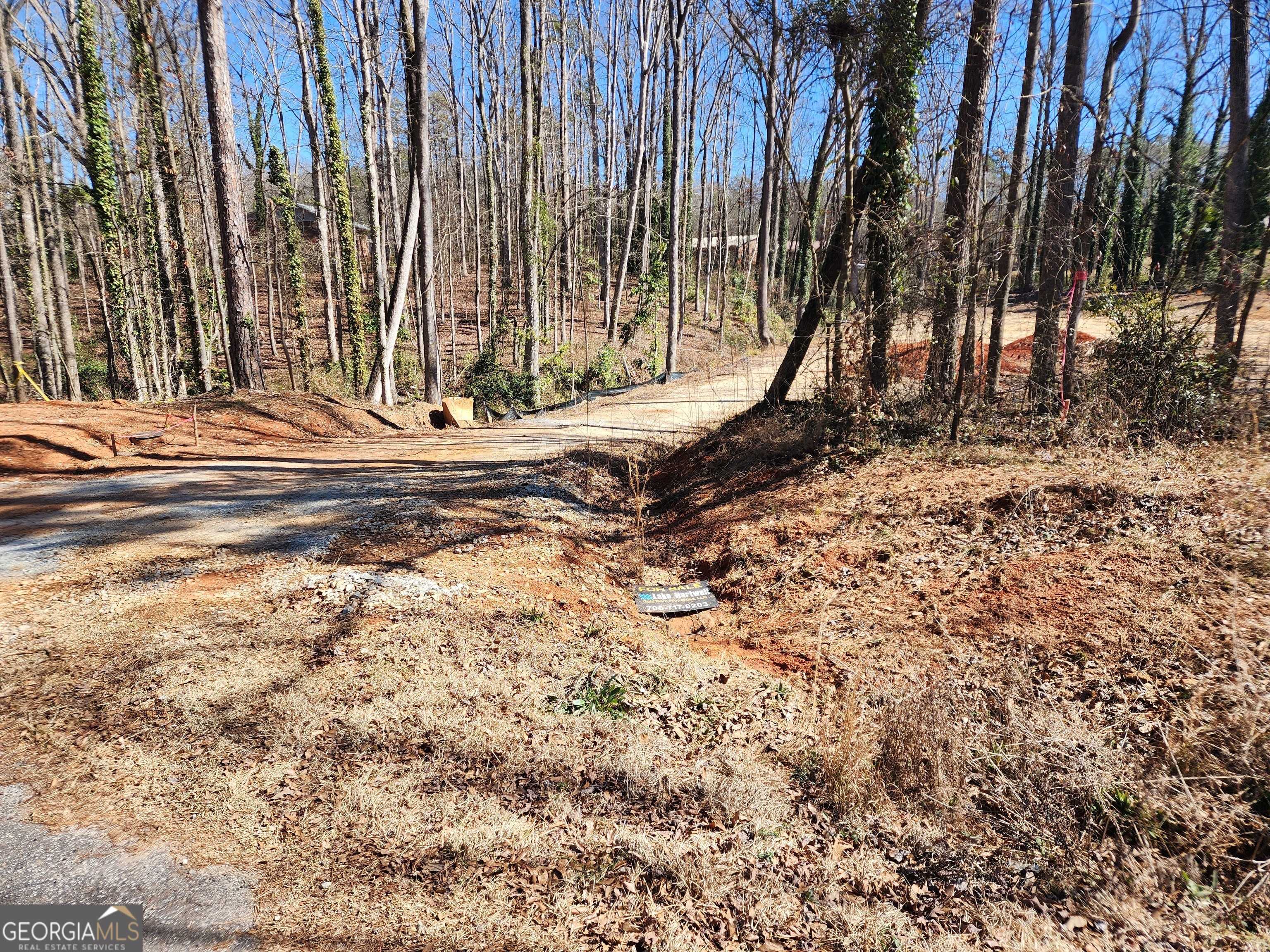 Hartwell, GA 30643,8B Forest Creek CIR