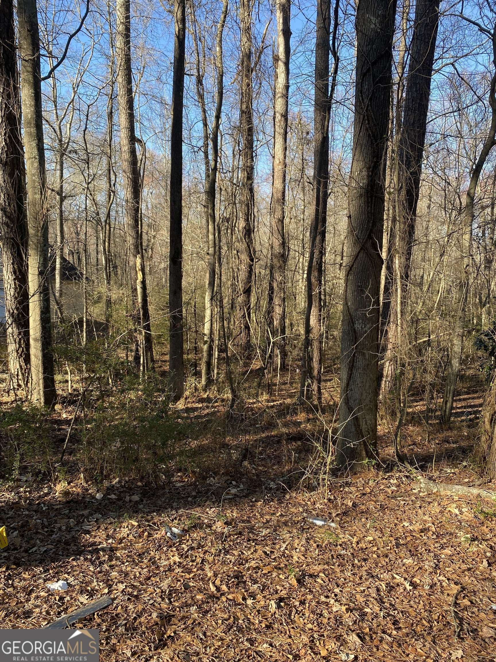Stockbridge, GA 30281,0 Valley Drive #LOT 12