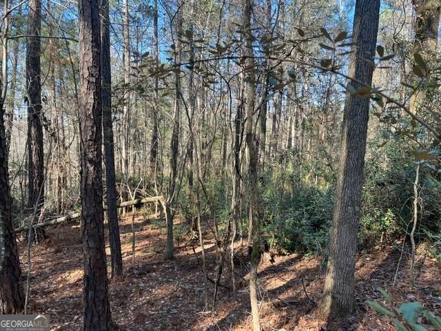 Thomaston, GA 30286,000 Woodland RD