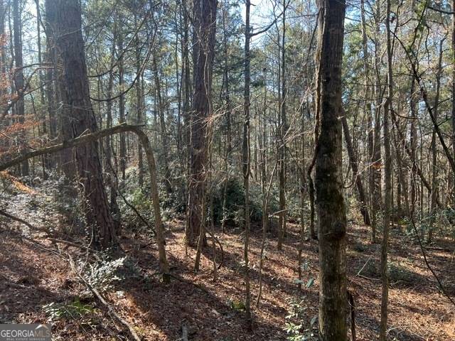 Thomaston, GA 30286,000 Woodland RD