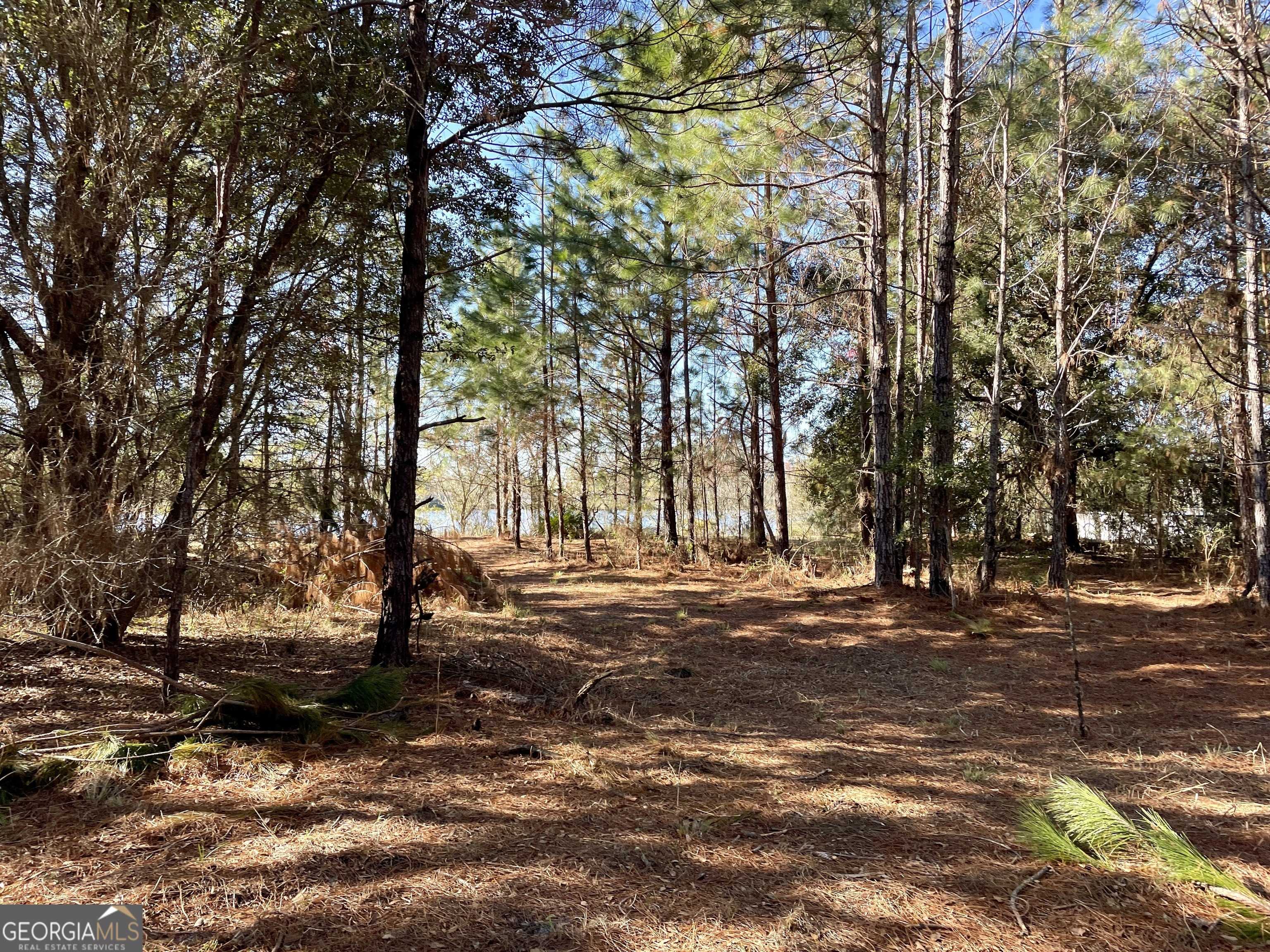 Folkston, GA 31537,LOT 8 Stokes Lake Rd