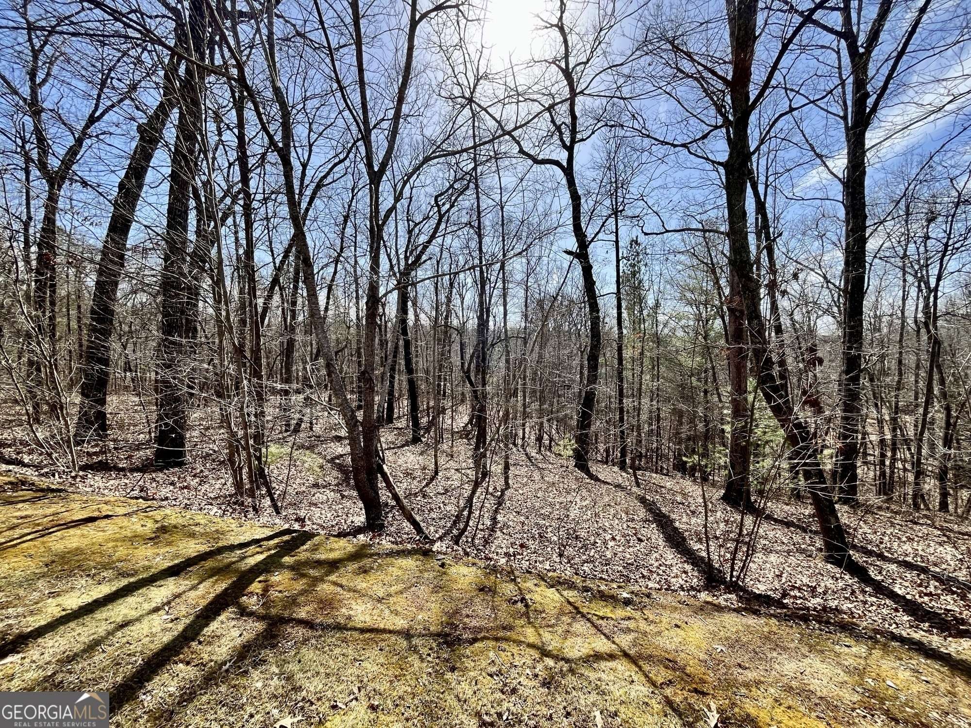 Ellijay, GA 30540,LT 129 Harris Creek DR