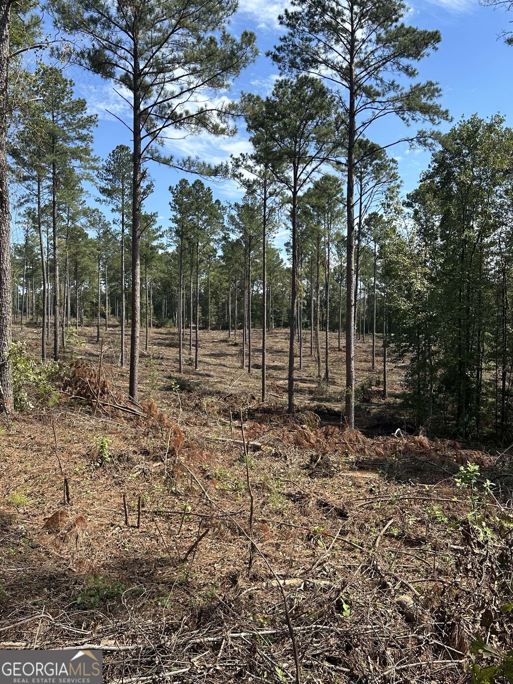 Madison, GA 30650,0 Seven Islands RD