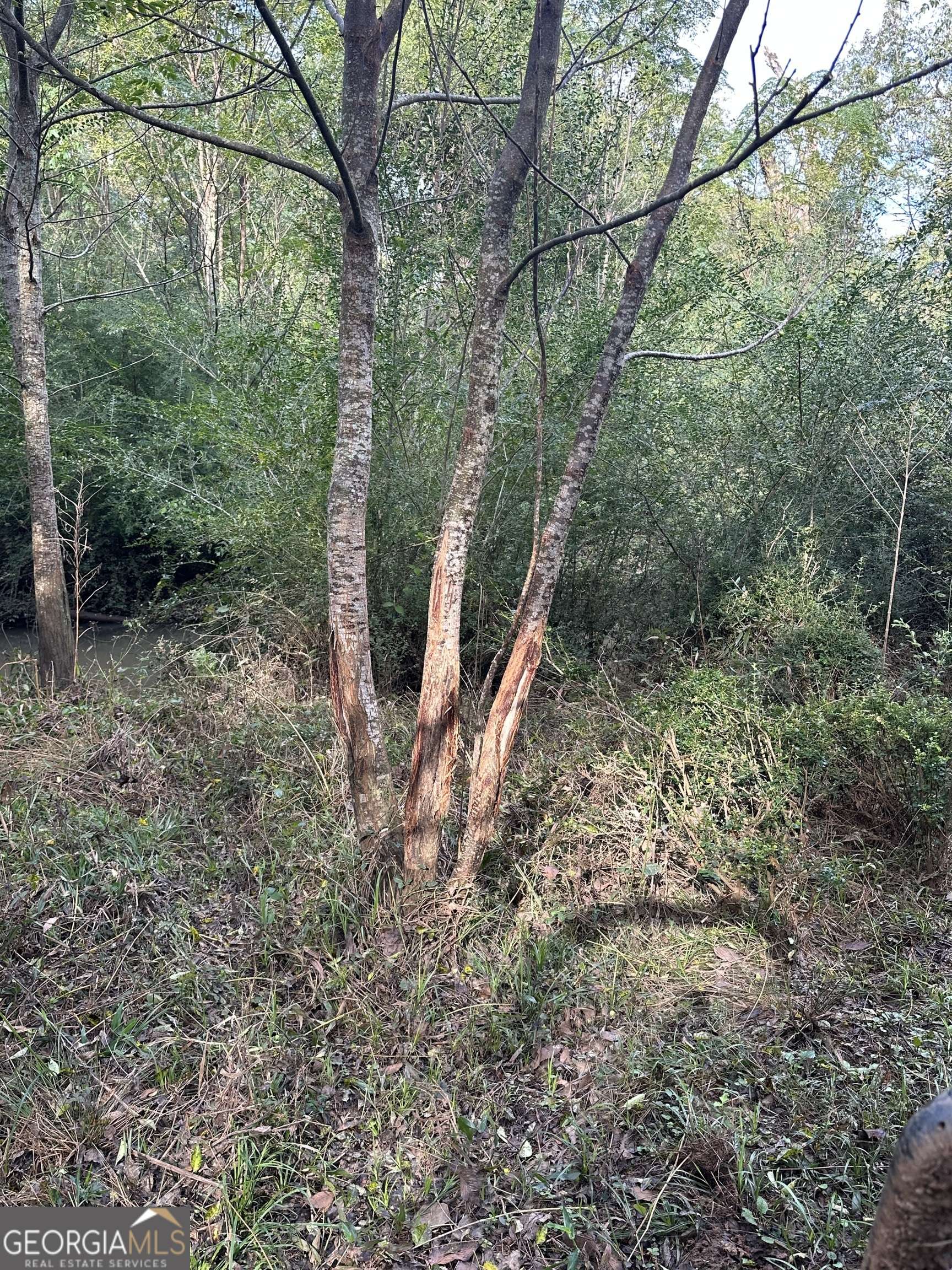 Madison, GA 30650,0 Seven Islands RD