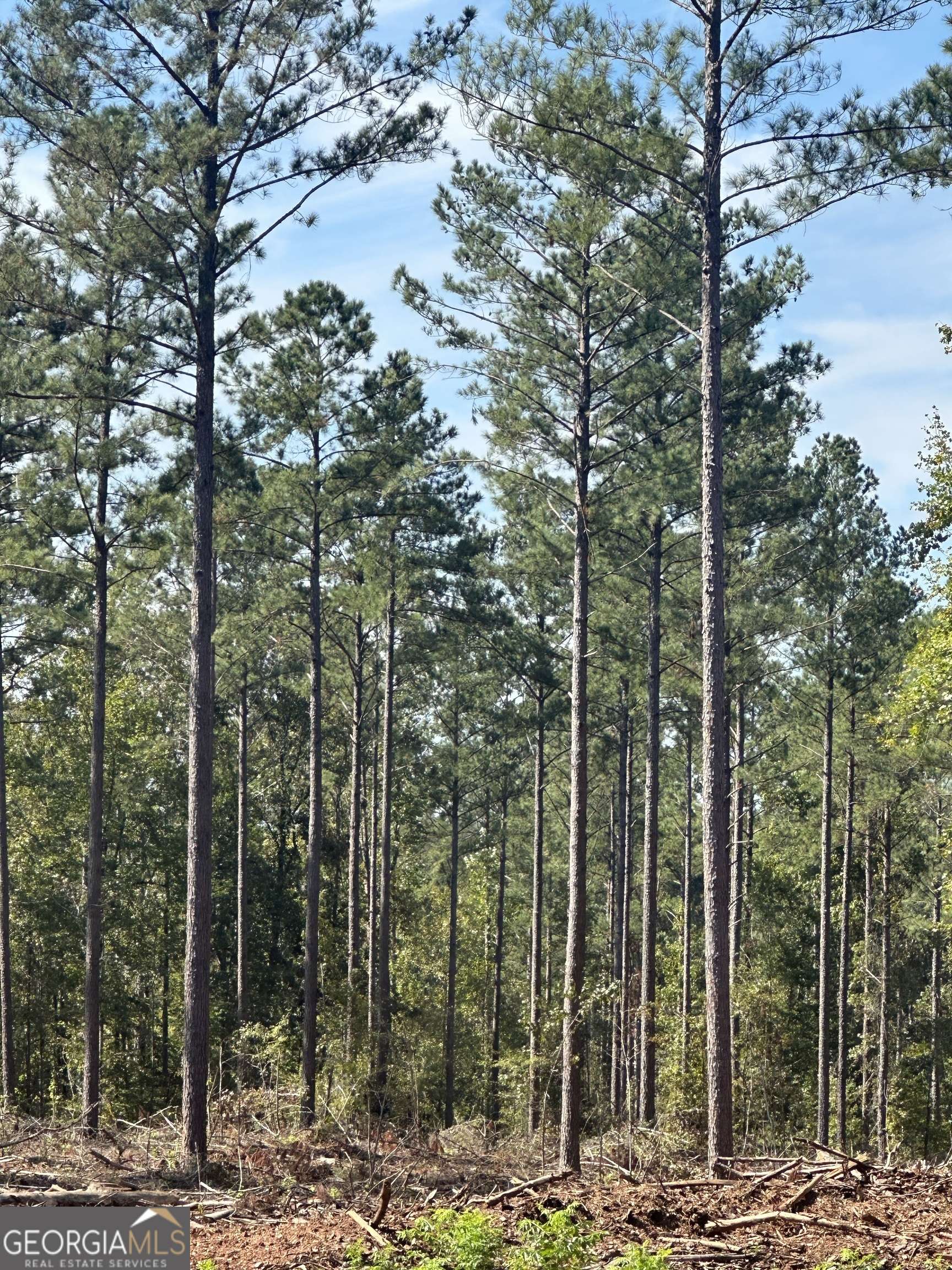 Madison, GA 30650,0 Seven Islands RD