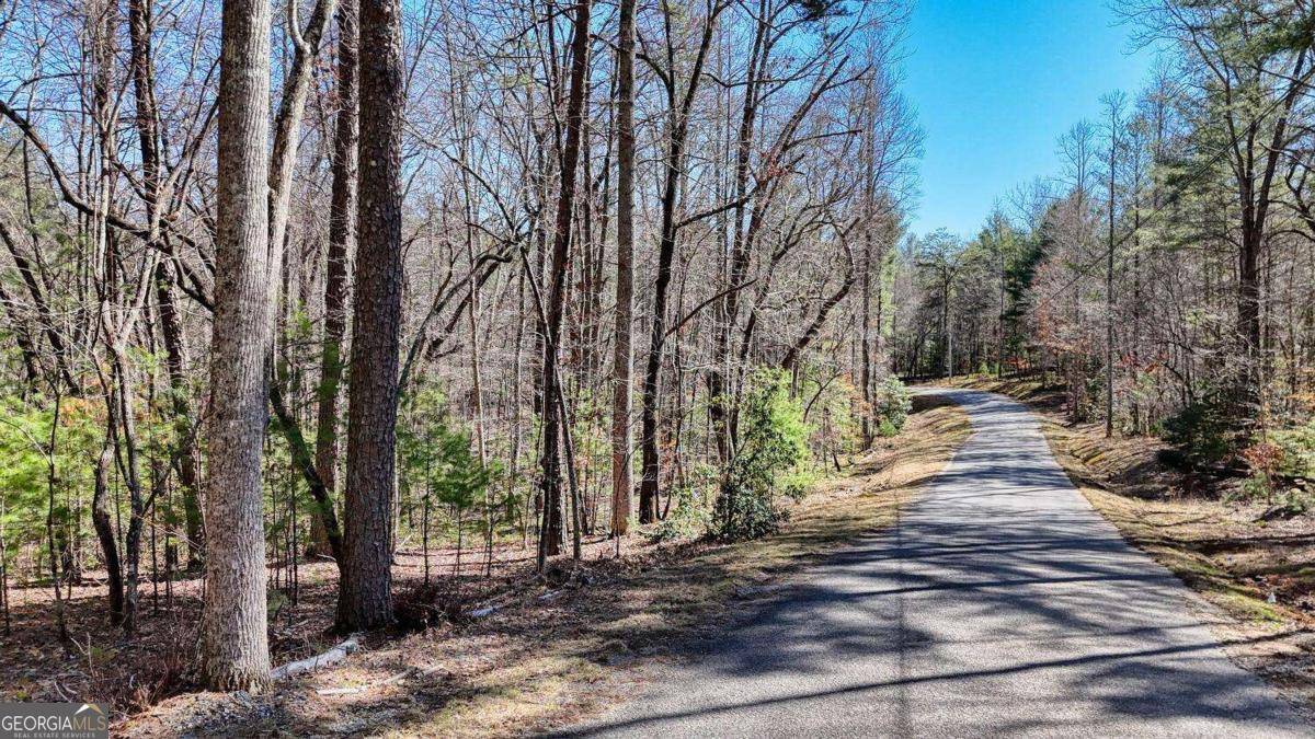 Blairsville, GA 30512,LOT 8,10 Hawks Nest