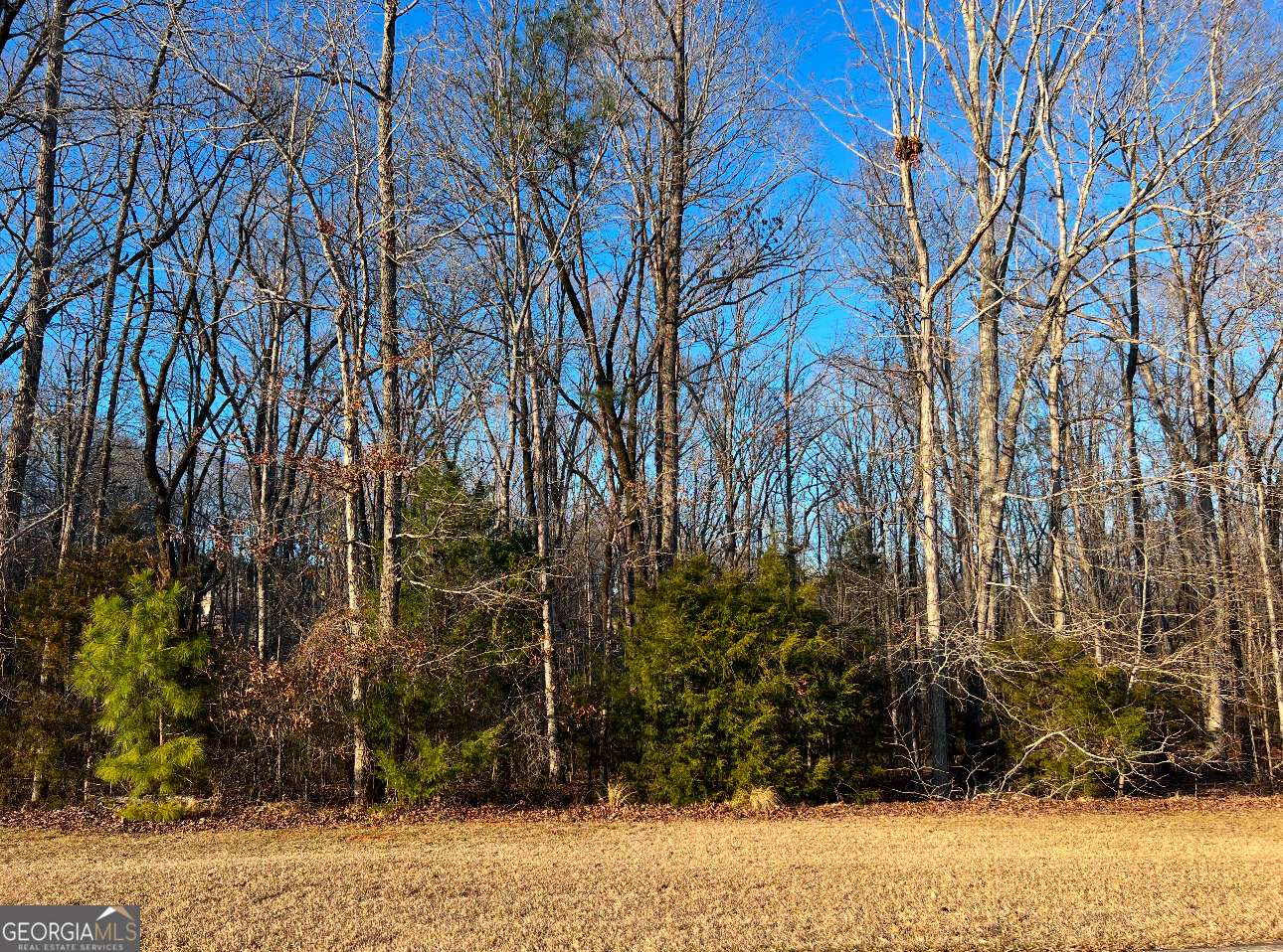 Forsyth, GA 31029,104 Gardens DR