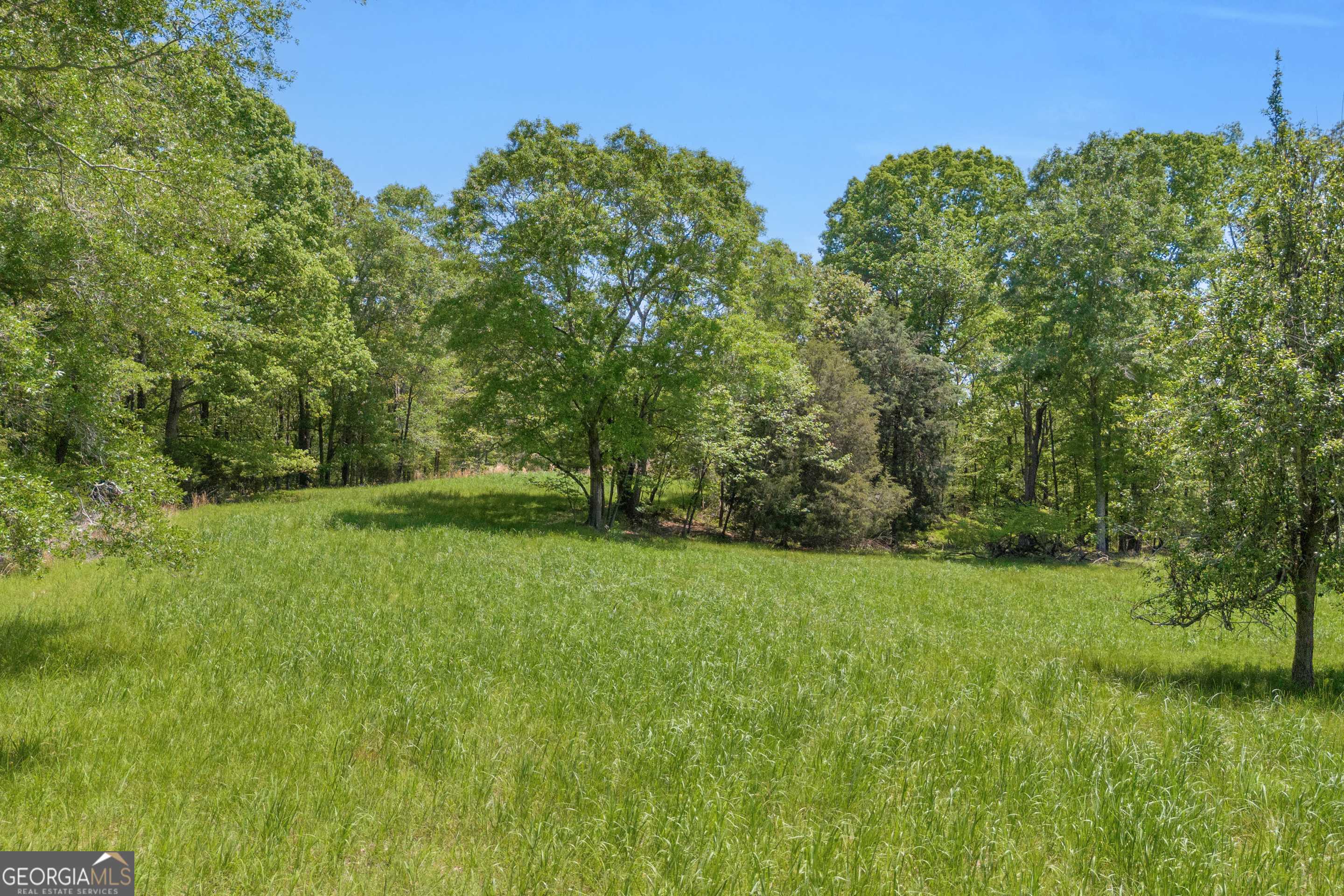 Royston, GA 30662,1745 Hannah Creek Church RD