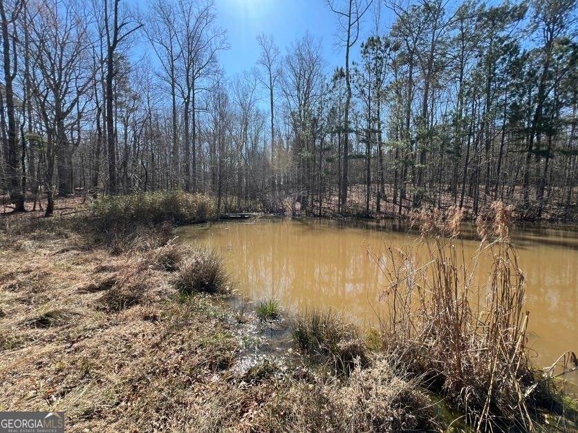 Hampton, GA 30228,145 A Twin Oaks DR