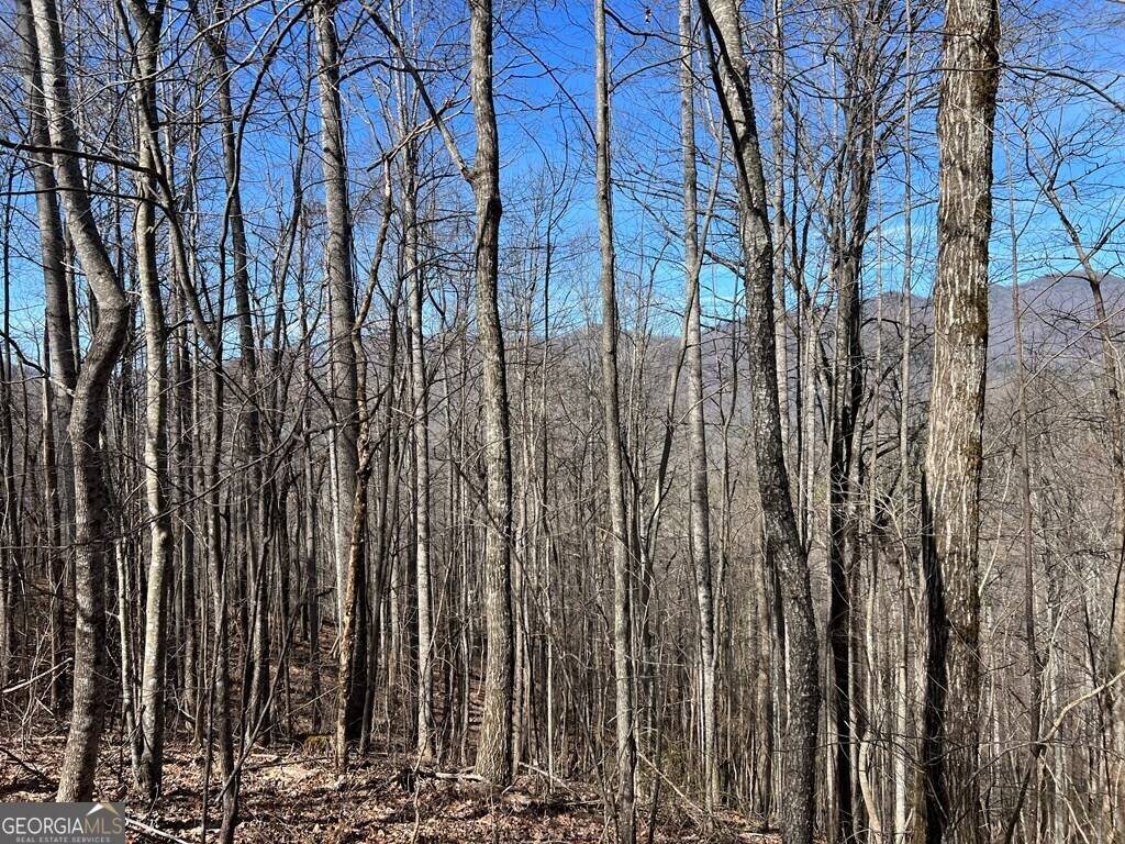 Hiawassee, GA 30546,LOT 15 Bear Trail, Roaring Ridge TRL